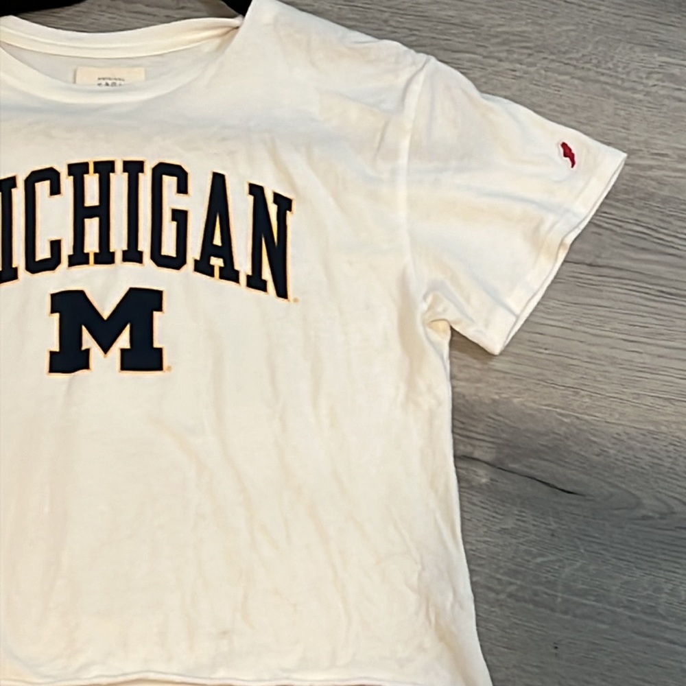 Michigan Crop Tee